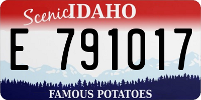 ID license plate E791017