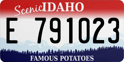 ID license plate E791023