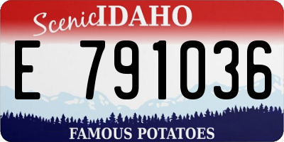ID license plate E791036