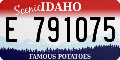 ID license plate E791075