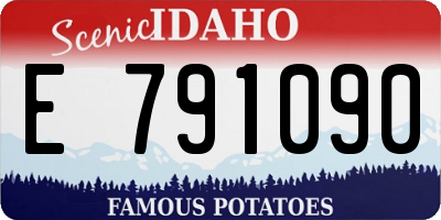ID license plate E791090