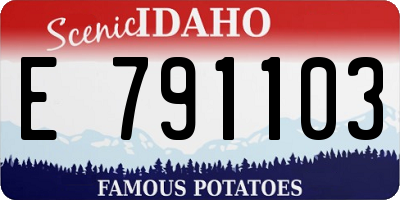 ID license plate E791103
