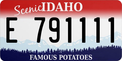 ID license plate E791111