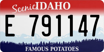 ID license plate E791147
