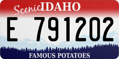 ID license plate E791202