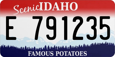 ID license plate E791235