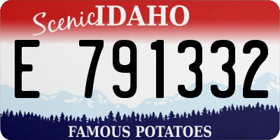 ID license plate E791332