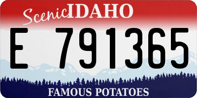 ID license plate E791365