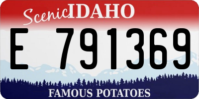 ID license plate E791369