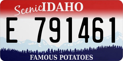 ID license plate E791461