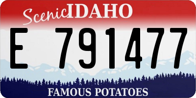 ID license plate E791477