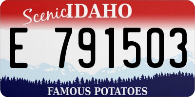 ID license plate E791503