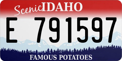 ID license plate E791597
