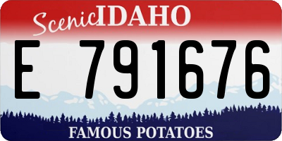 ID license plate E791676
