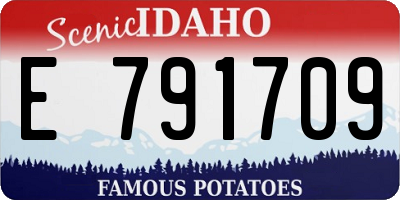 ID license plate E791709