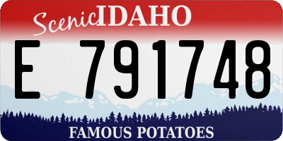 ID license plate E791748