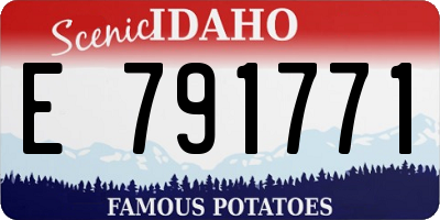 ID license plate E791771