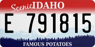 ID license plate E791815