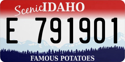 ID license plate E791901