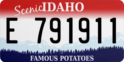ID license plate E791911