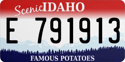 ID license plate E791913