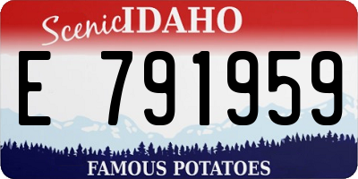 ID license plate E791959