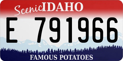 ID license plate E791966