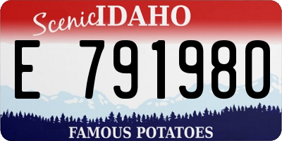 ID license plate E791980
