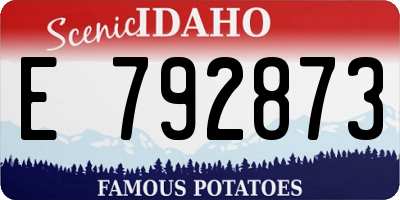 ID license plate E792873