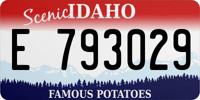 ID license plate E793029