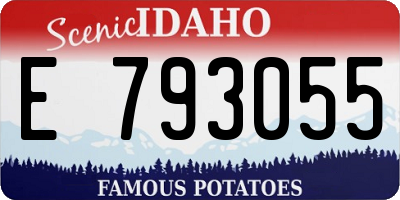 ID license plate E793055