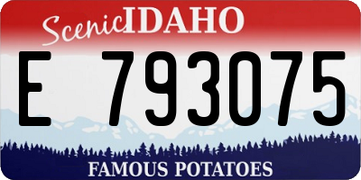 ID license plate E793075