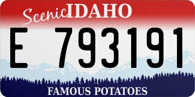 ID license plate E793191