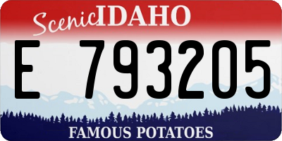 ID license plate E793205
