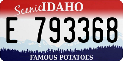 ID license plate E793368