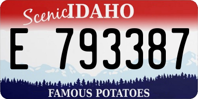 ID license plate E793387