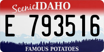 ID license plate E793516