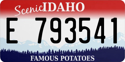 ID license plate E793541