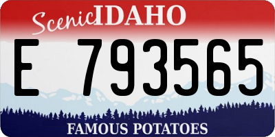 ID license plate E793565