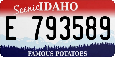 ID license plate E793589