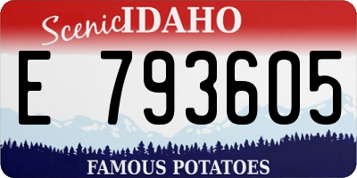 ID license plate E793605