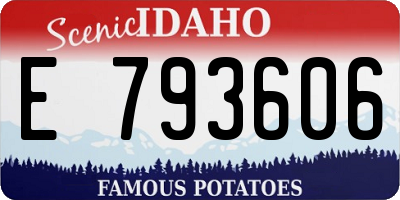 ID license plate E793606