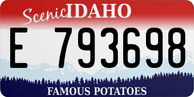 ID license plate E793698