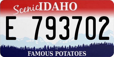 ID license plate E793702