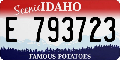 ID license plate E793723