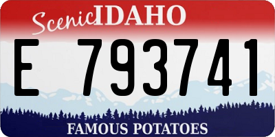 ID license plate E793741