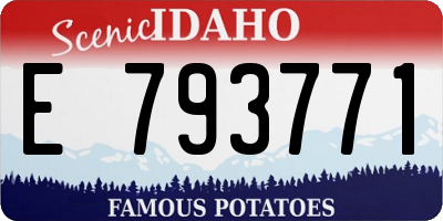 ID license plate E793771