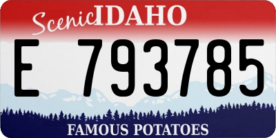 ID license plate E793785