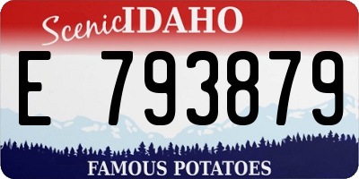 ID license plate E793879