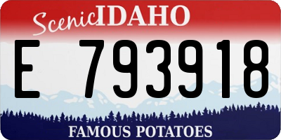 ID license plate E793918